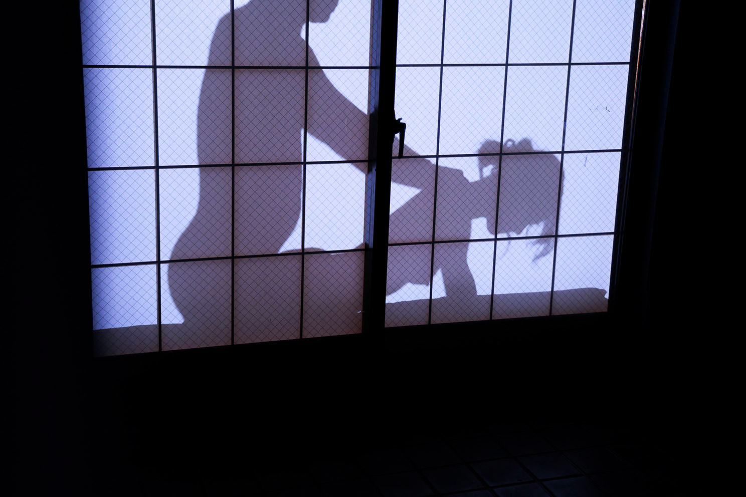 dvmm-353：サムネイル0004